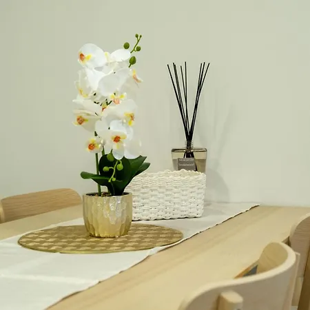 Apartment Ii & Navara Kolín
